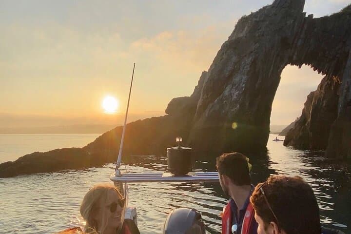 Private Coastal Boat Tour Torquay — Dolphin Watching, Seals & Hidden Coves photo 4
