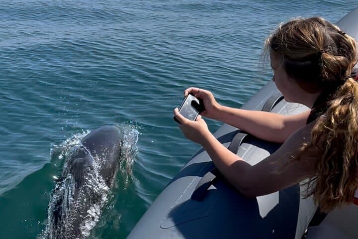 Private Coastal Boat Tour Torquay — Dolphin Watching, Seals & Hidden Coves photo 2