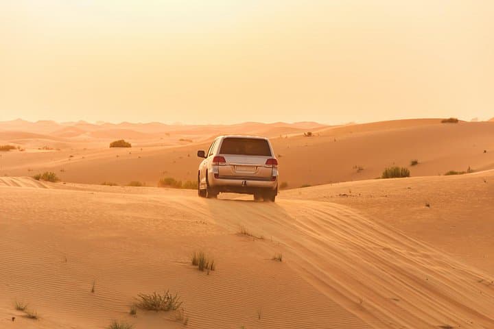 Morning Red Dune Desert Safari with Sandboarding & Camel Ride from Dubai photo 4