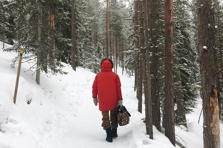 Korouoma Frozen Waterfalls Hiking Tour — Winter Hike from Rovaniemi photo 6