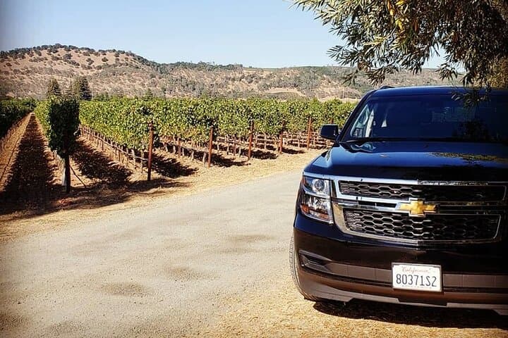 Sonoma Valley Private Wine Tour: 6-Hour Custom Vineyard Experience photo 2