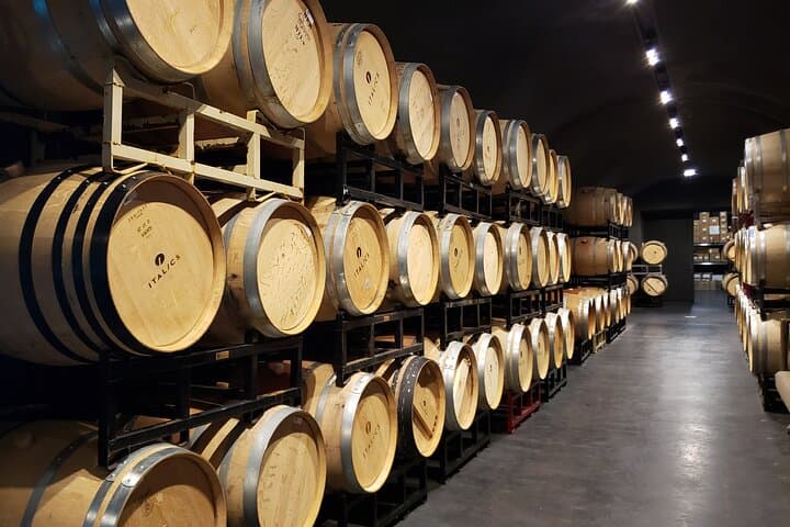 Sonoma Valley Private Wine Tour: 6-Hour Custom Vineyard Experience photo 5
