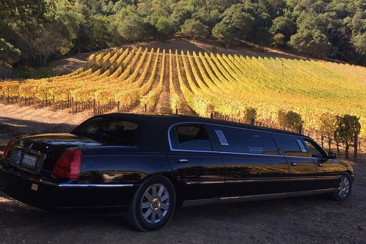 Sonoma Valley Private Wine Tour: 6-Hour Custom Vineyard Experience photo 6