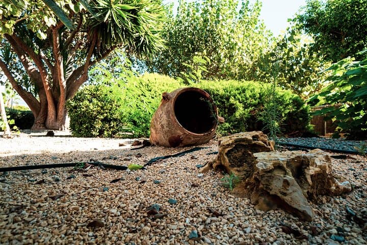 Costa Blanca Highlights: Full-Day Wine, Villages & Views from Benidorm photo 6