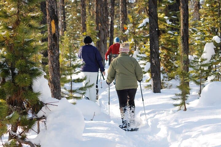 Snowshoeing Vancouver's North Shore: Cypress Mountain Winter Day Trip photo 2