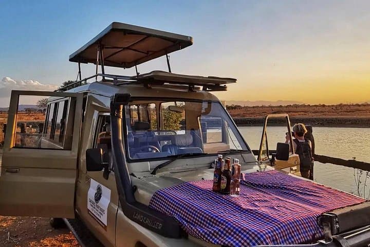 Fly-In Mikumi Day Safari from Zanzibar: Chartered Game Drive & Wildlife Viewing photo 1