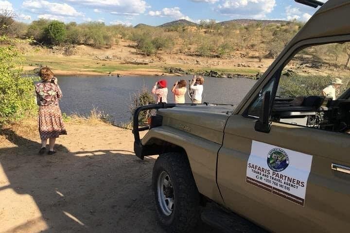 Fly-In Mikumi Day Safari from Zanzibar: Chartered Game Drive & Wildlife Viewing photo 2