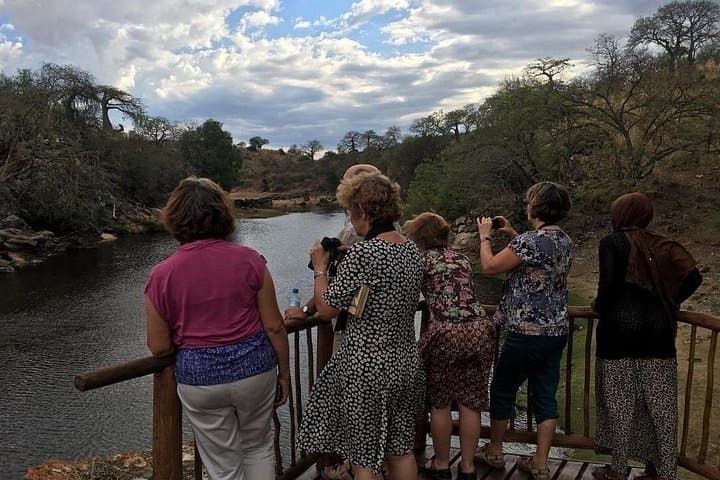 Fly-In Mikumi Day Safari from Zanzibar: Chartered Game Drive & Wildlife Viewing photo 4