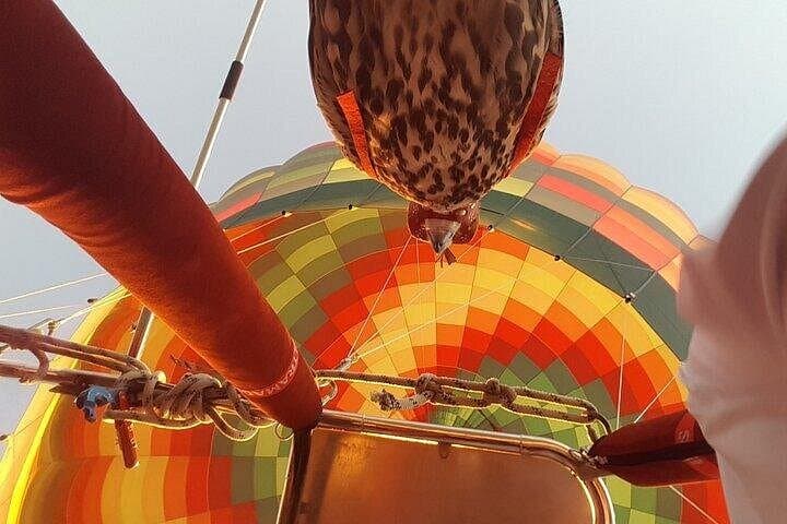 Sunrise Over the Sands: Hot Air Balloon Deluxe with Falconry in Dubai photo 3