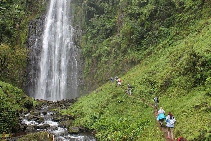 Materuni Waterfalls and Coffee Plantation Day Trip — Waterfall Walk & Chagga Coffee Experience photo 2