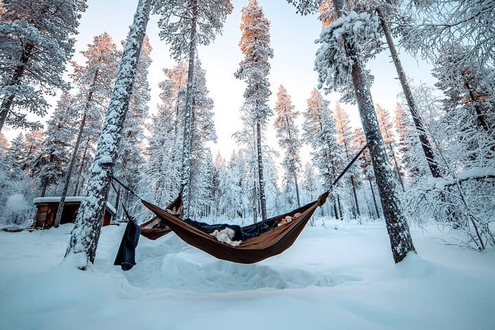 HaliPuu Forest Cocooning: Arctic Hammock Relaxation Near Levi, Finland photo 2