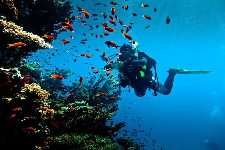 Hurghada Intro Scuba: Two Red Sea Dives with Boat Lunch photo 2