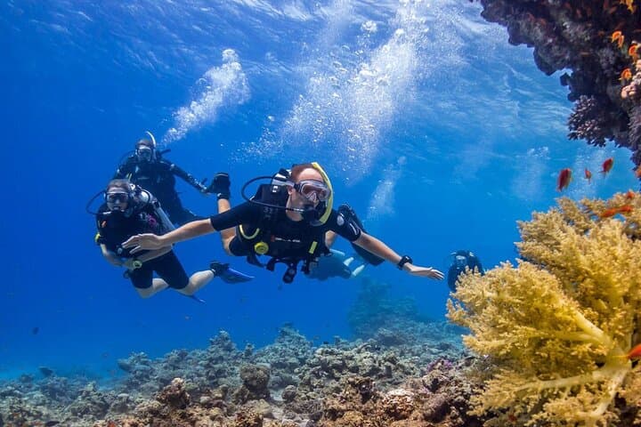 Hurghada Intro Scuba: Two Red Sea Dives with Boat Lunch photo 3