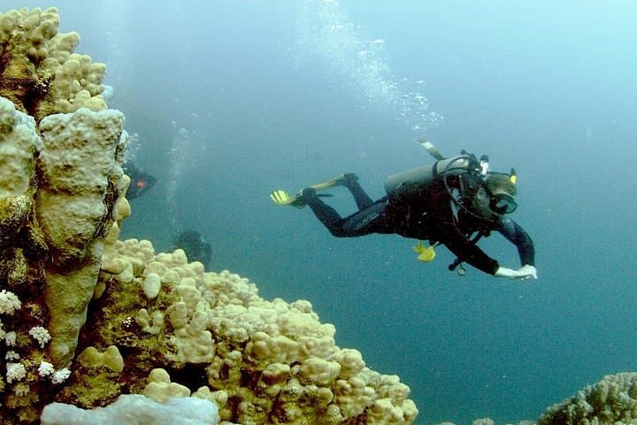 Hurghada Intro Scuba: Two Red Sea Dives with Boat Lunch photo 4