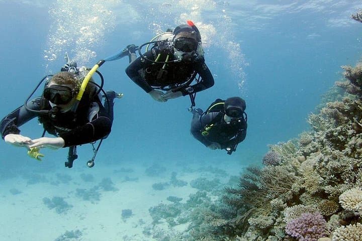 Hurghada Intro Scuba: Two Red Sea Dives with Boat Lunch photo 5