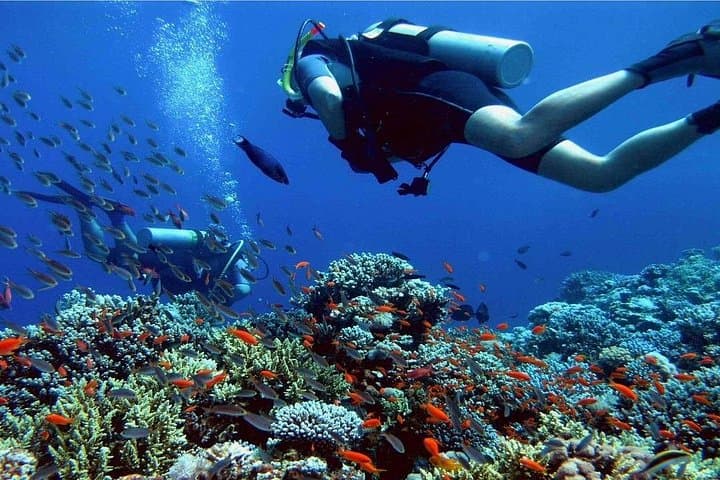 Hurghada Intro Scuba: Two Red Sea Dives with Boat Lunch photo 6