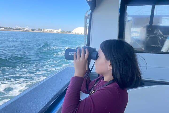 Long Beach Glass Bottom Boat Eco-Tour: Harbor Wildlife & Port Views photo 3