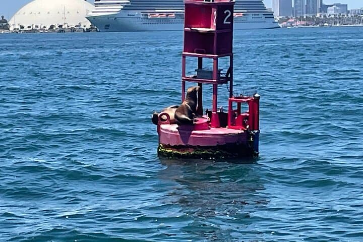 Long Beach Glass Bottom Boat Eco-Tour: Harbor Wildlife & Port Views photo 6
