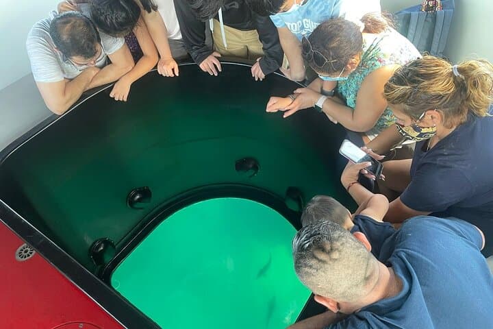 Long Beach Glass Bottom Boat Eco-Tour: Harbor Wildlife & Port Views photo 2