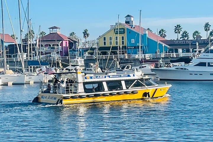 Long Beach Glass Bottom Boat Eco-Tour: Harbor Wildlife & Port Views