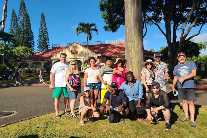 Oahu Circle-Island Shuttle from the Pier — Diamond Head, Hālona & Dole Plantation photo 4