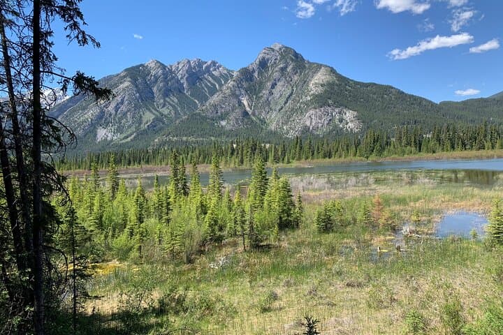 Banff Nature Walk: 2-Hour Guided Walk in Banff National Park photo 5