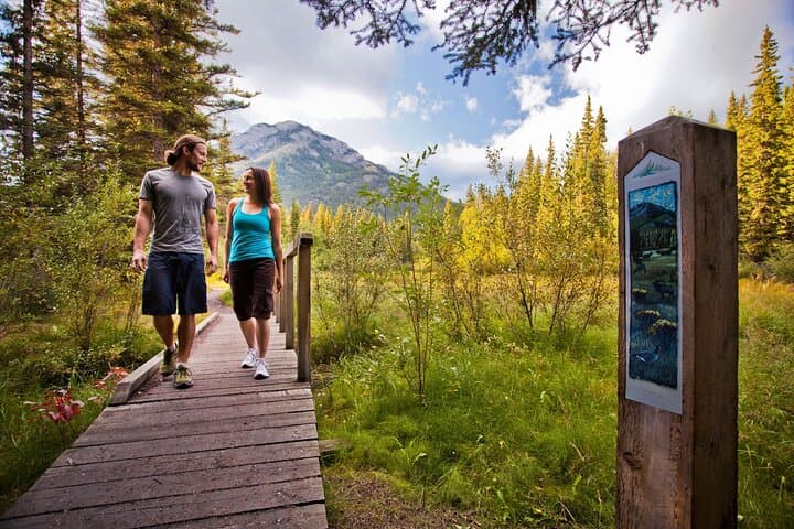 Banff Nature Walk: 2-Hour Guided Walk in Banff National Park photo 3