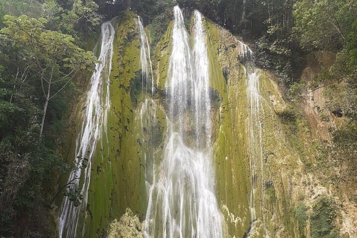 Horseback to El Limón: Half-Day Waterfall Ride and Lunch in Samaná photo 4