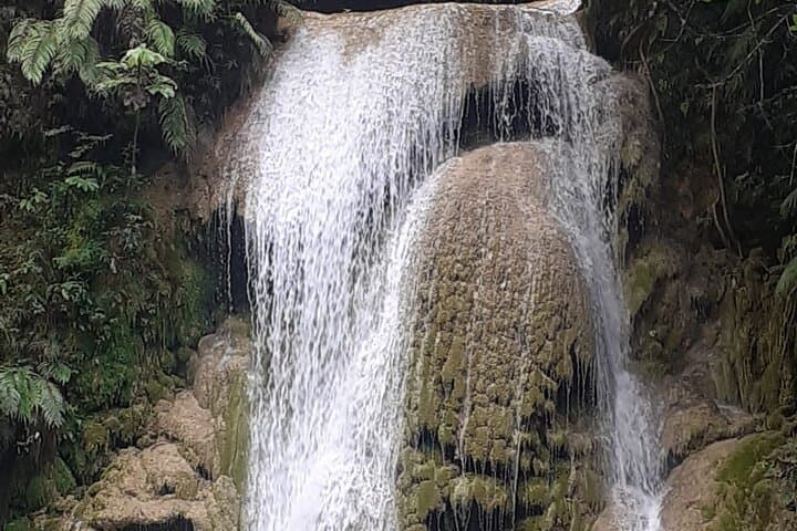 Horseback to El Limón: Half-Day Waterfall Ride and Lunch in Samaná photo 5