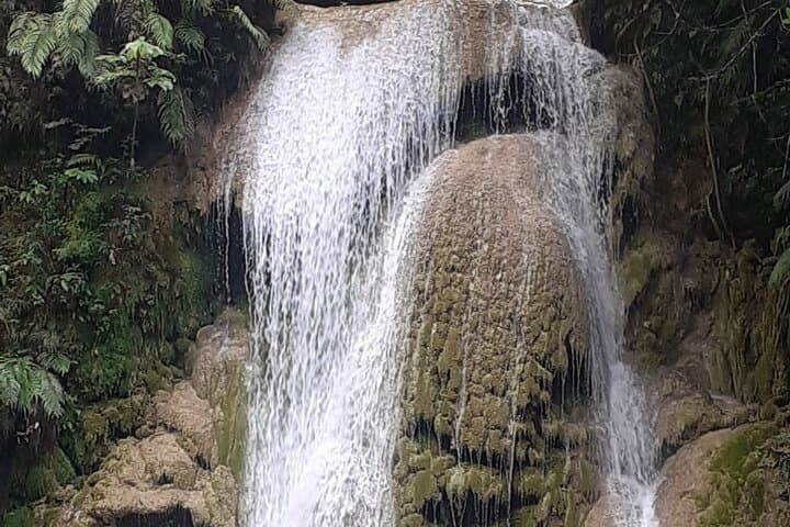 Horseback to El Limón Waterfall with Lunch from Las Terrenas photo 5