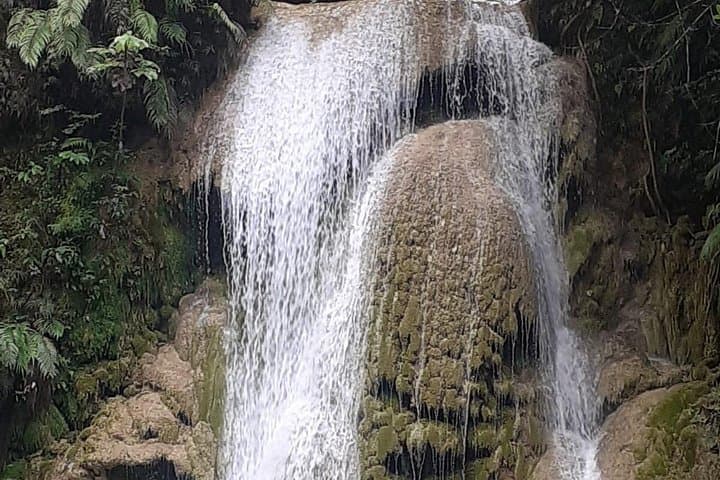 El Limón Waterfall Horseback Tour from Samaná — Salto El Limón Adventure photo 6