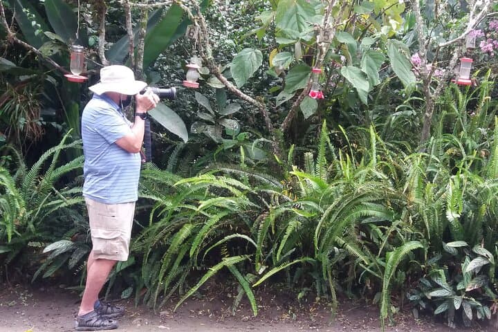 Mindo Cloud Forest Day Trip: Hummingbirds, Tarabita & Butterfly Farm from Quito photo 2