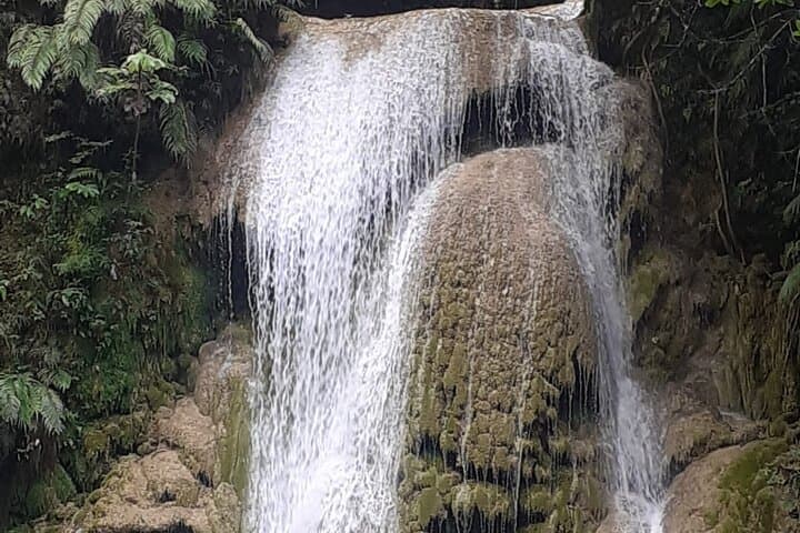 El Limón Waterfall & Cayo Levantado Tour — Horseback Hike and Island Lunch in Samaná photo 5