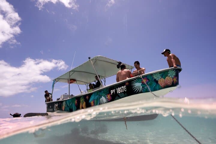 Moorea Lagoon Tour: Swim with Turtles, Rays & Blacktip Sharks photo 6