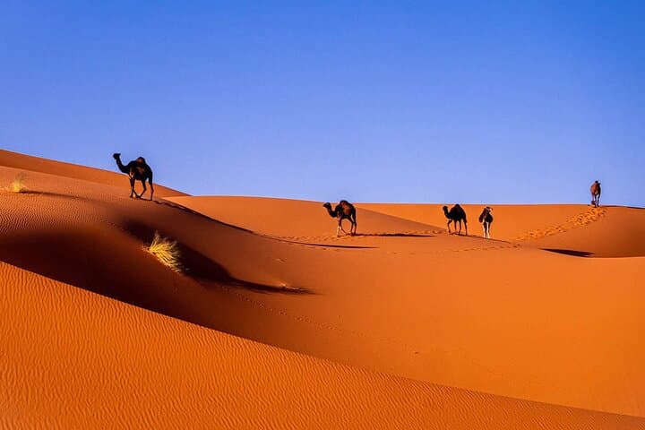 Private 3-Day Sahara Desert to Merzouga from Marrakech photo 2