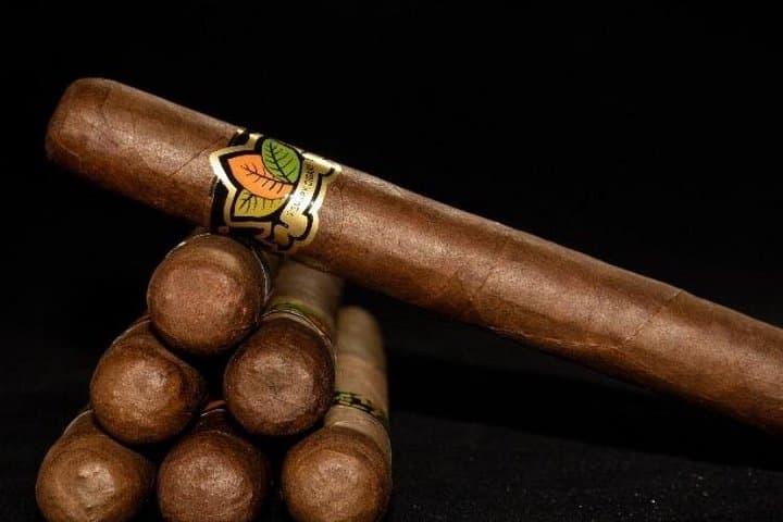Costa Rica Cigar & Rum Tasting in Playa Flamingo — Hacienda Workshop and Hand-Rolled Cigars photo 2