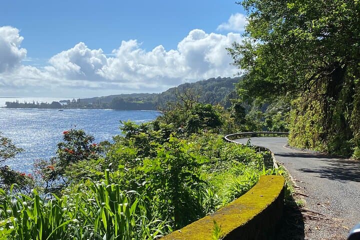 Private Road to Hana Luxury Tour: Waterfalls, Black Sand Beach, and Backroad Sights photo 5
