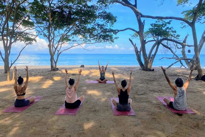 Sayulita Jungle Hike & Beach Yoga Experience — 1.5-Mile Hike to a Secluded Cove