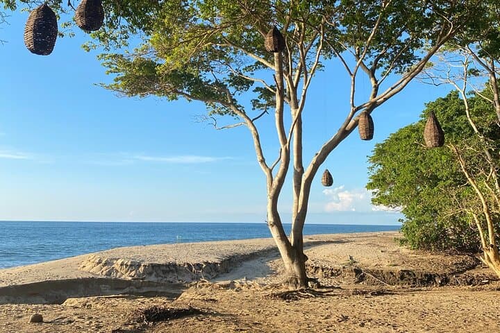 Sayulita Jungle Hike & Beach Yoga Experience — 1.5-Mile Hike to a Secluded Cove photo 4