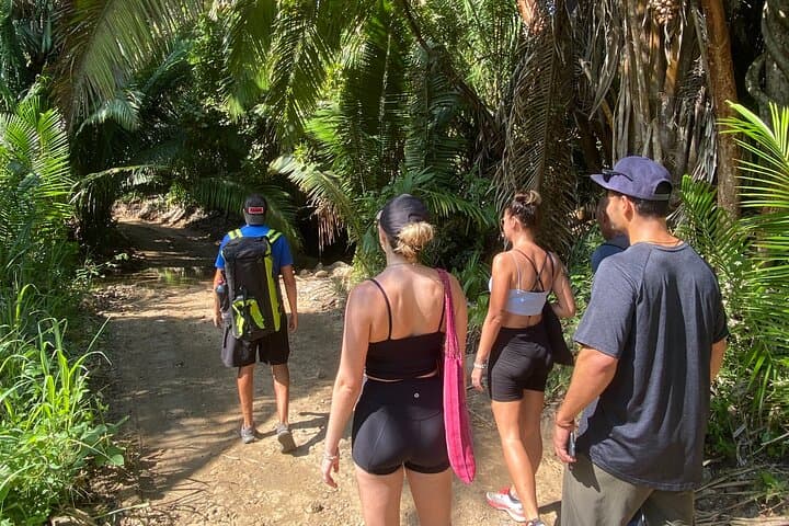 Sayulita Jungle Hike & Beach Yoga Experience — 1.5-Mile Hike to a Secluded Cove photo 5