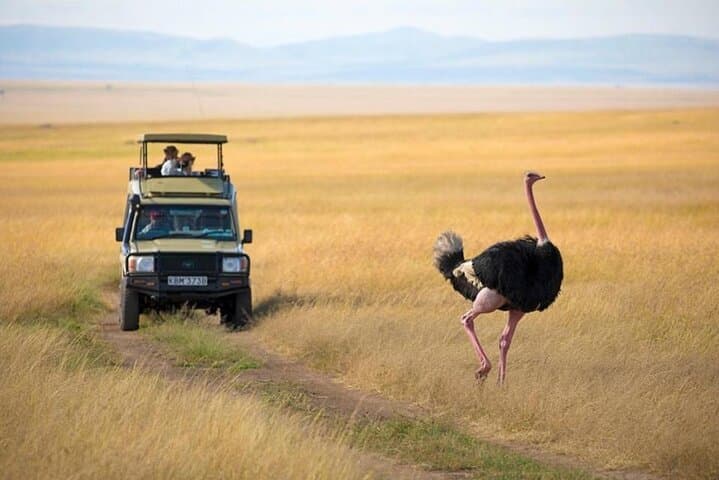 3-Day Maasai Mara Safari: Big Five Game Drives, Mara River Crossings & Lodge Stays photo 1