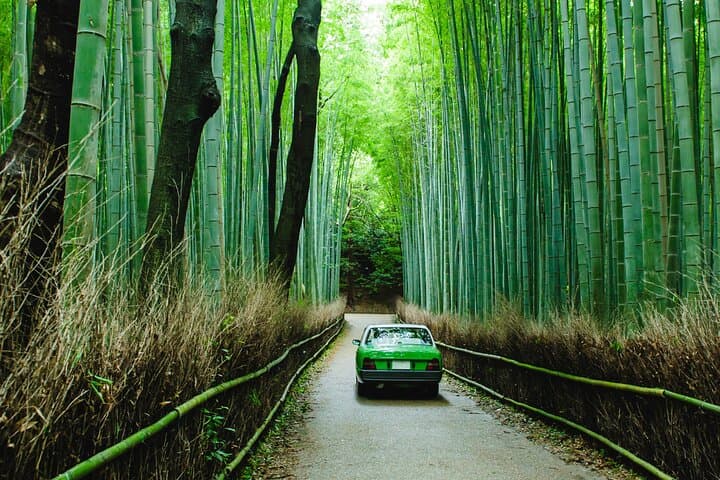 Private 6-Hour Kyoto Driver Tour — Customize Kiyomizu, Gion, Arashiyama & Fushimi photo 1
