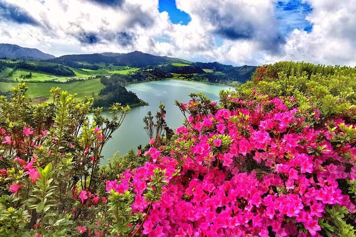 Furnas Volcano & Hot Springs Shore Excursion — São Miguel, Azores photo 3