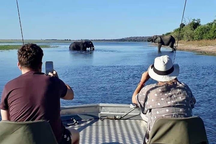 Chobe After Dark: 2-Night Camping Safari with Game Drives and River Cruise photo 5