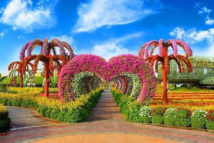 Dubai Miracle Garden & Global Village: A Five-Hour Floral and Cultural Day Trip photo 3