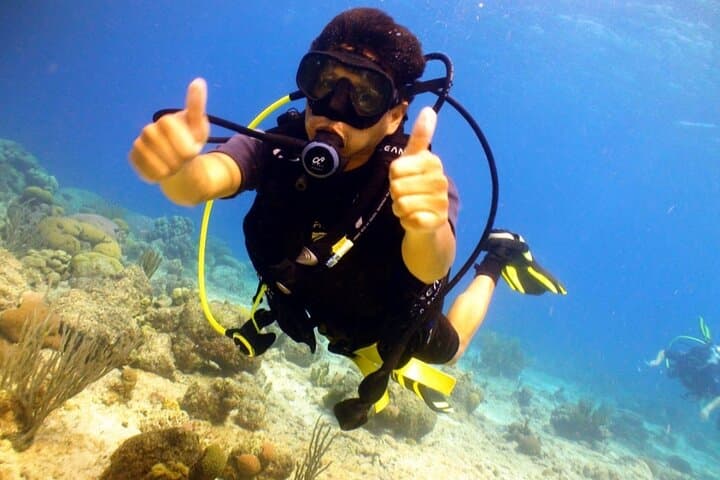Discover Scuba Diving in Curaçao: PADI Intro with Hotel Pickup photo 3
