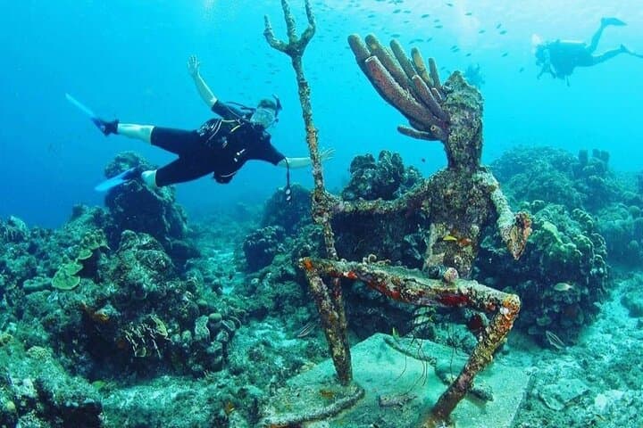 Discover Scuba Diving in Curaçao: PADI Intro with Hotel Pickup photo 6