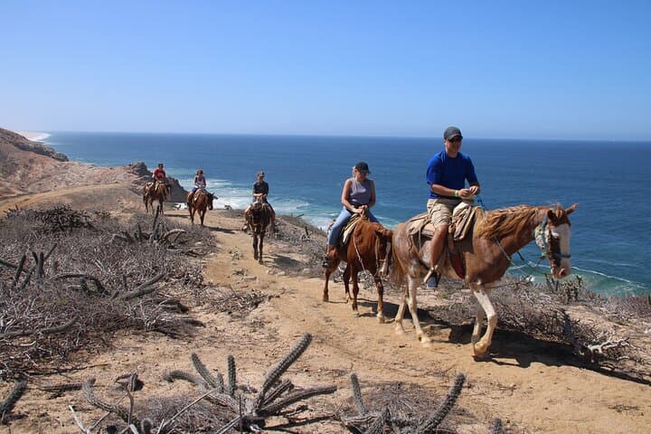 Ride to the Second Arch: Horseback Experience at Rancho San Cristobal