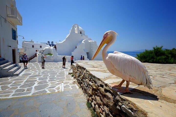 Private Half-Day Mykonos Insider Tour — Lighthouse, Monastery & Agrari Beach photo 6
