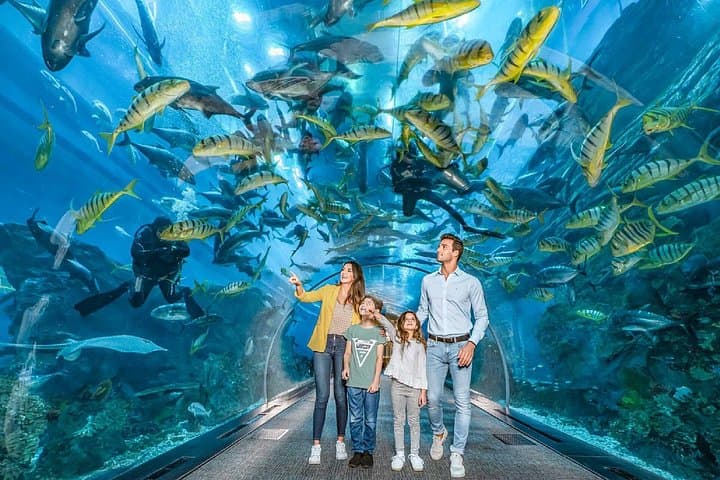 Inside Dubai Aquarium and Underwater Zoo: Tunnel Walk, Marine Life & Visitor Tips photo 4